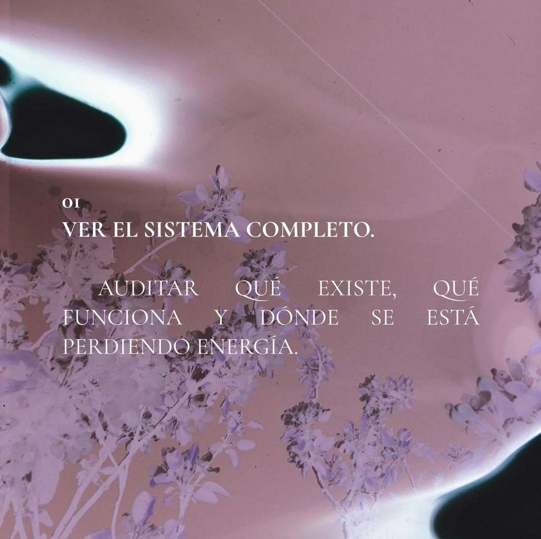 01 — Ver el sistema completo. Auditar qué existe, qué funciona y donde se está perdiendo energía.