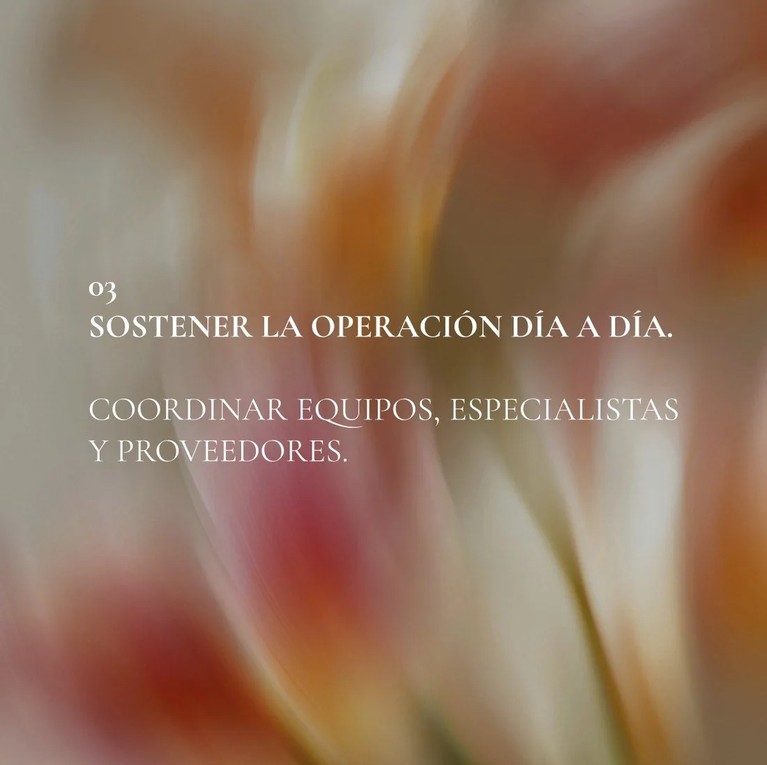 03 — Sostener la operación día a día. Coordinar equipos, especialistas y proveedores.