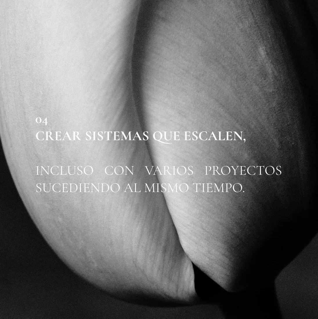 04 — Crear sistemas que escalen, incluso con varios proyectos sucediendo al mismo tiempo.